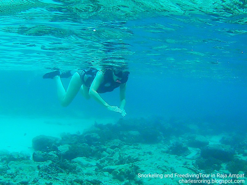 Dutch lady was snorkeling in Raja Ampat with Charles Roring
