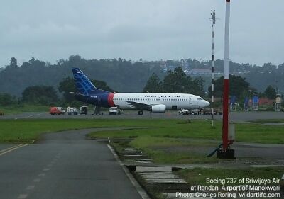 Boeing 737 of Sriwijaya Air at Rendani airport of Manokwari city, the capital of West Papua province of Indonesia.