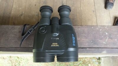 Canon 15×50 IS UD birding binoculars.