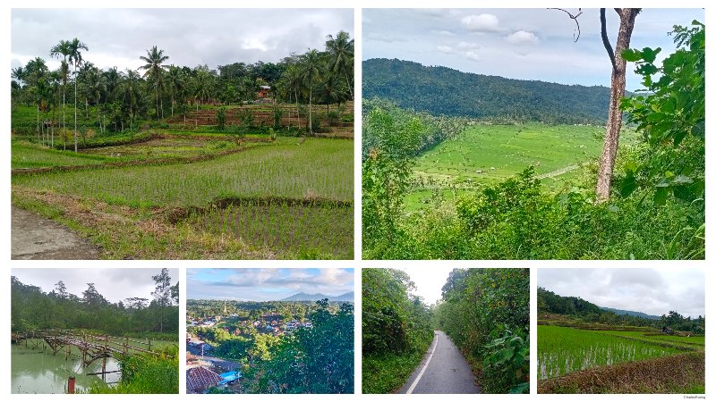 Terraced rice fields in Minahasa Highland, Indonesia