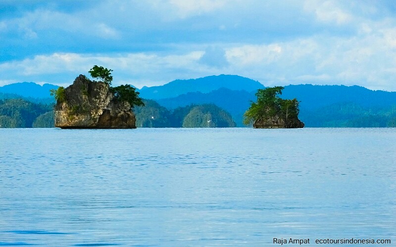 marine tourism in Indonesia Bird's Head Seascape of Raja Ampat