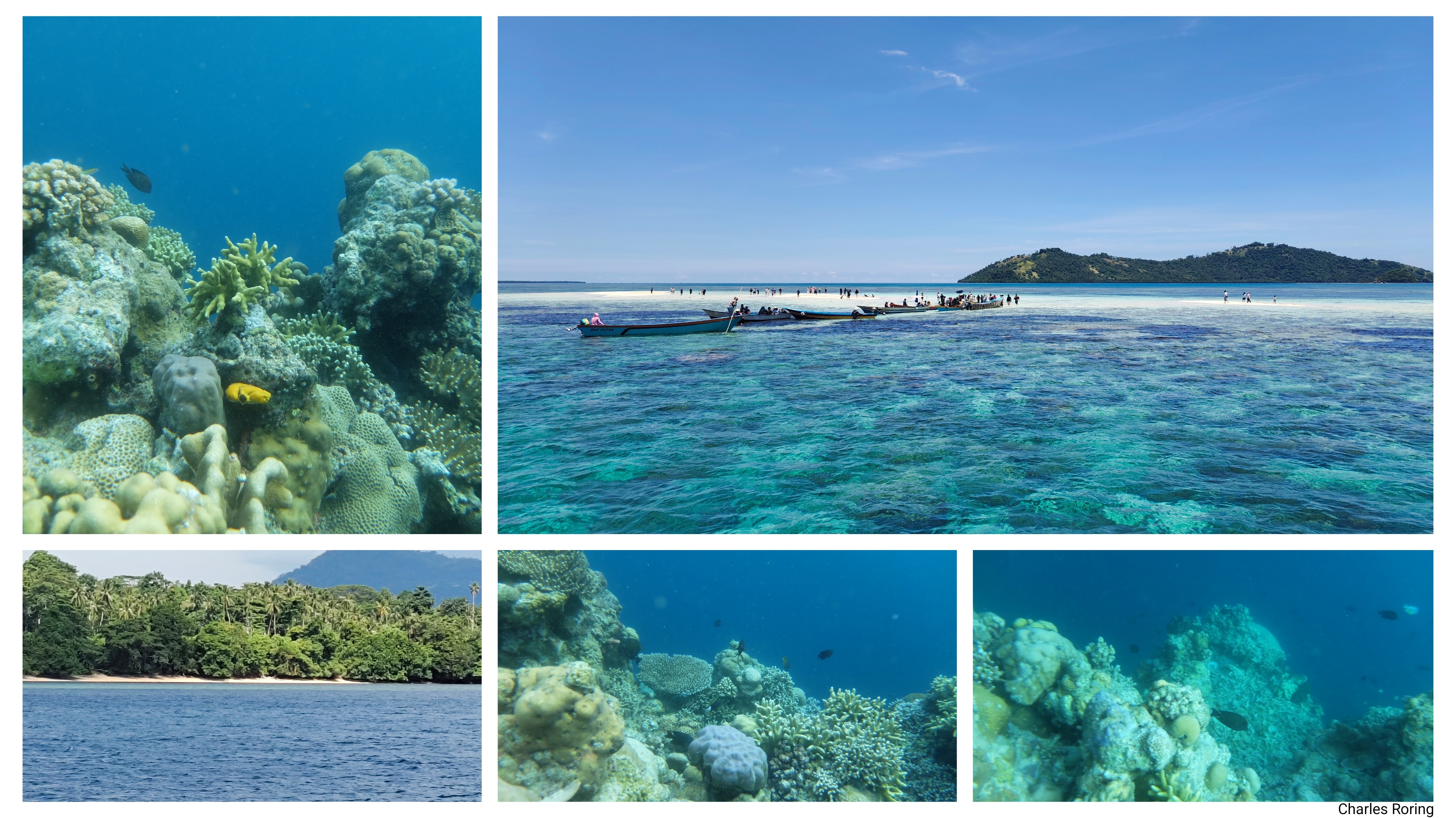 snorkeling holiday in Indonesia coral reef, white sandy beach in Bunaken island, sand bank Nain atoll