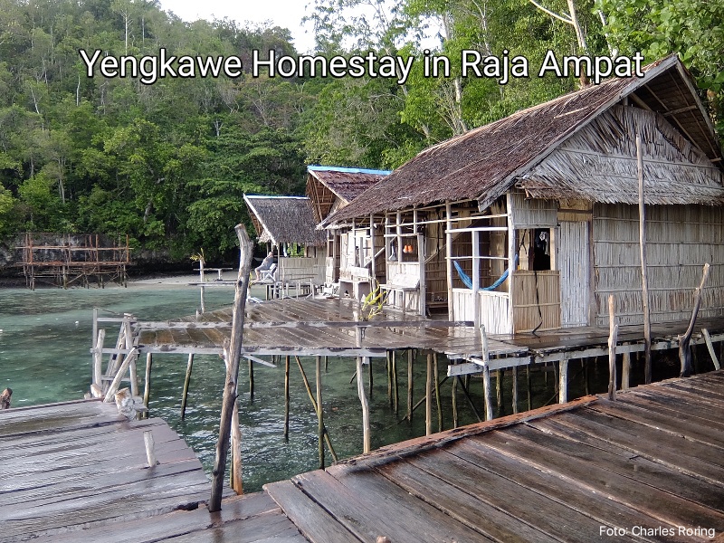 Penginapan Rumahan di Pulau Waigeo, Raja Ampat
