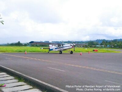 Pilatus Porter light aircraft
