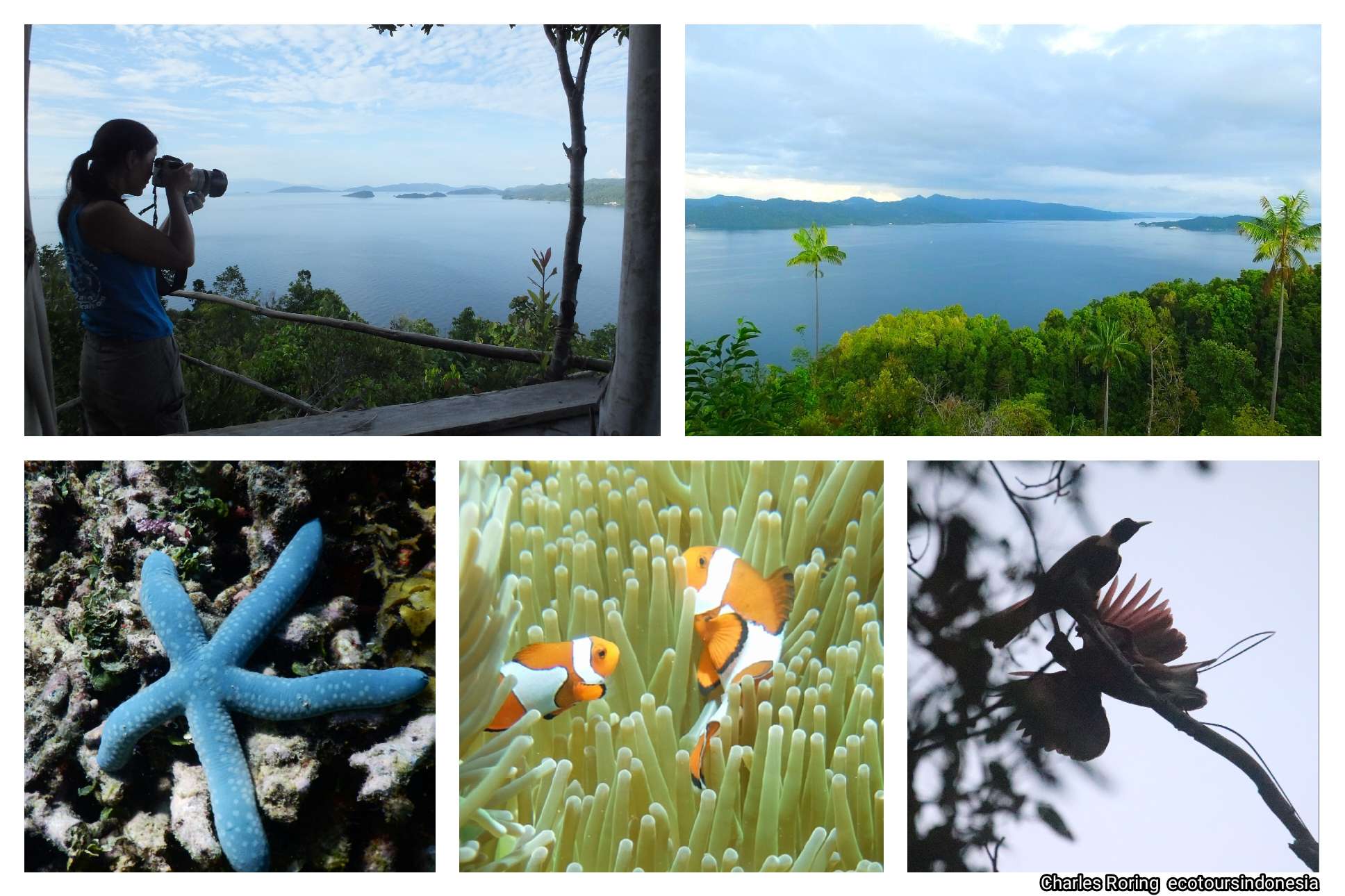 raja ampat islands all inclusive tour