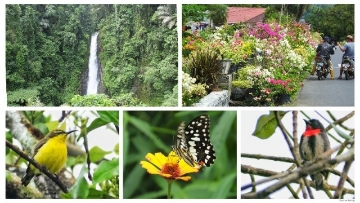 nature tour in Minahasa waterfall, flowers, birds and butterfly